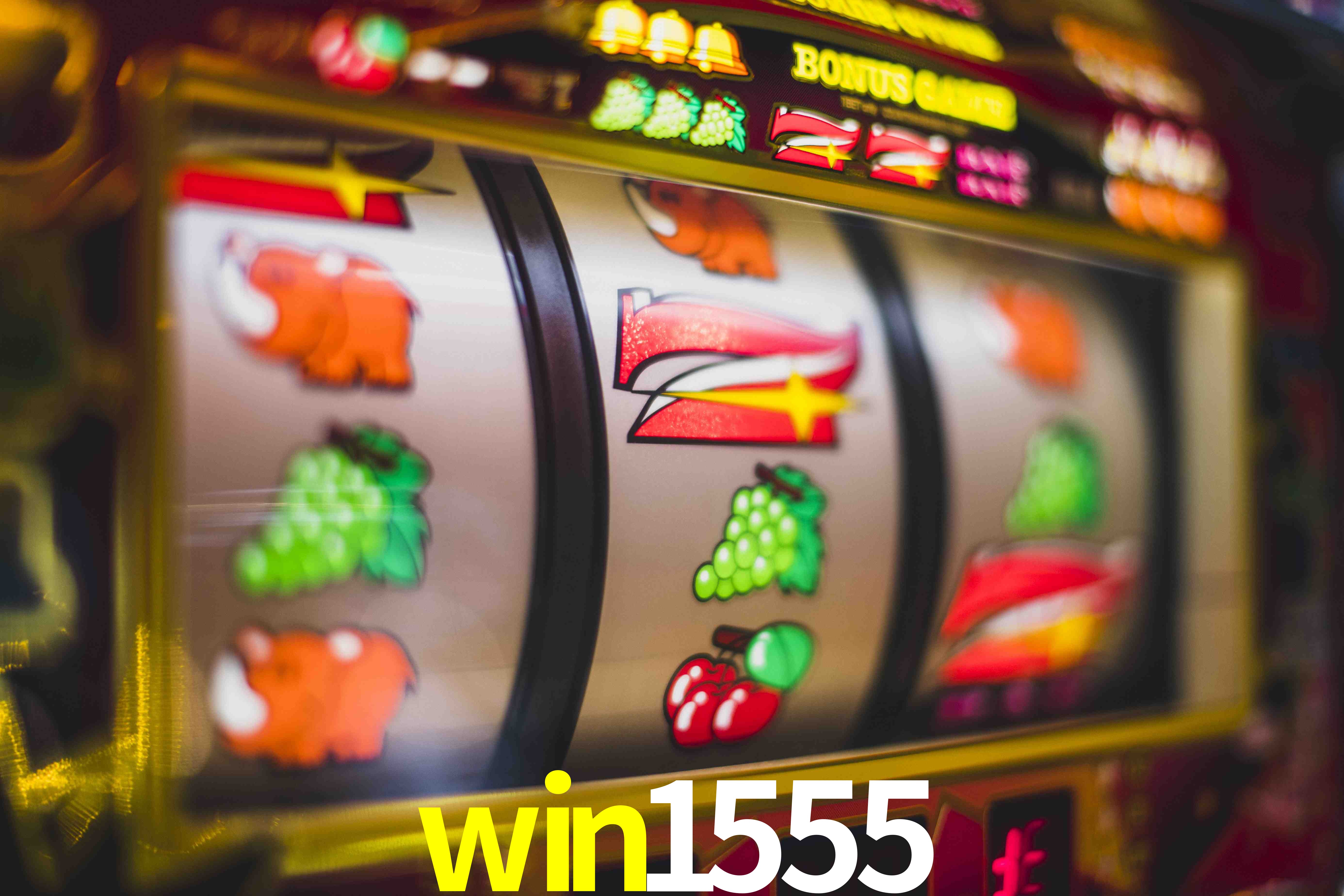 VIP Casino win1555